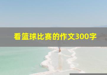 看篮球比赛的作文300字