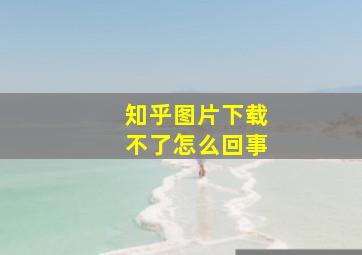 知乎图片下载不了怎么回事