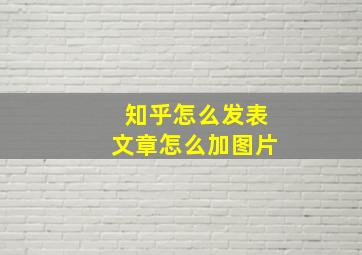 知乎怎么发表文章怎么加图片