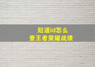 知道id怎么查王者荣耀战绩