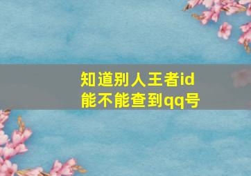 知道别人王者id能不能查到qq号