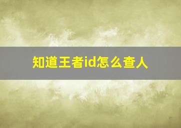 知道王者id怎么查人