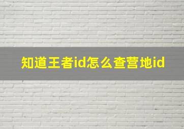 知道王者id怎么查营地id