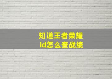 知道王者荣耀id怎么查战绩