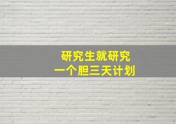 研究生就研究一个胆三天计划