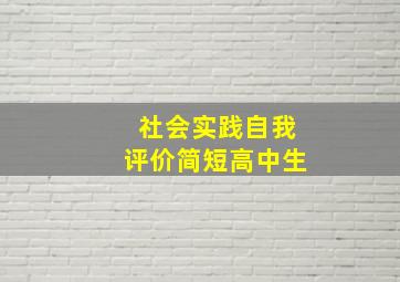 社会实践自我评价简短高中生