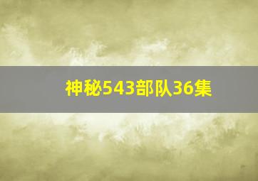 神秘543部队36集