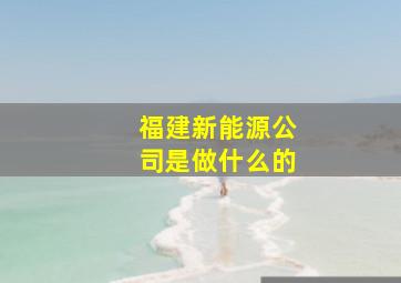 福建新能源公司是做什么的