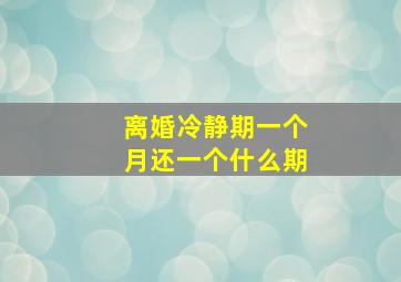 离婚冷静期一个月还一个什么期