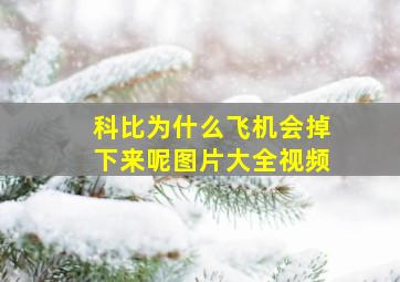 科比为什么飞机会掉下来呢图片大全视频