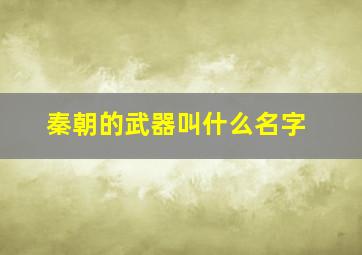 秦朝的武器叫什么名字