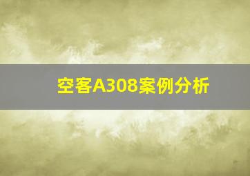 空客A308案例分析