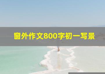 窗外作文800字初一写景