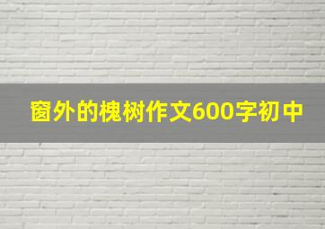 窗外的槐树作文600字初中