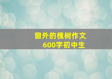 窗外的槐树作文600字初中生