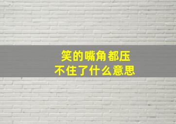 笑的嘴角都压不住了什么意思