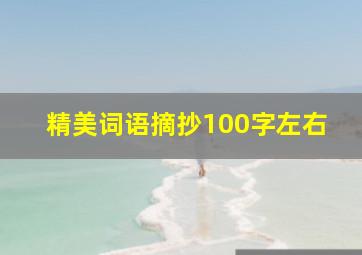 精美词语摘抄100字左右