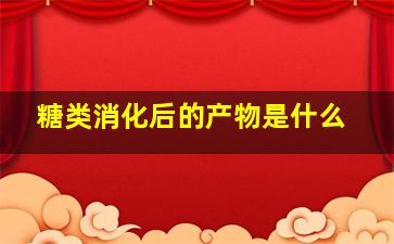 糖类消化后的产物是什么