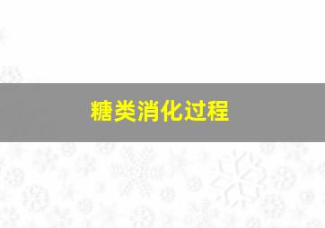 糖类消化过程