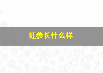 红参长什么样