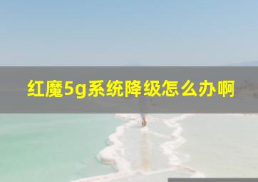 红魔5g系统降级怎么办啊