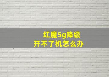 红魔5g降级开不了机怎么办