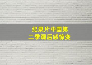 纪录片中国第二季观后感惊变