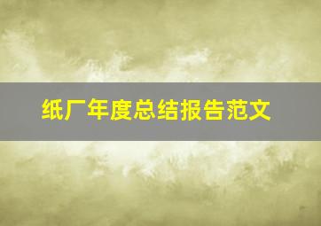 纸厂年度总结报告范文