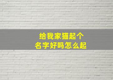 给我家猫起个名字好吗怎么起