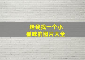 给我找一个小猫咪的图片大全