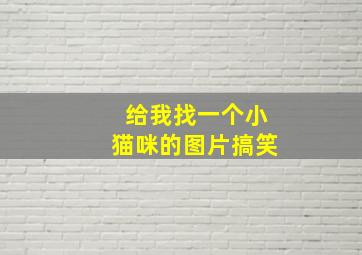 给我找一个小猫咪的图片搞笑