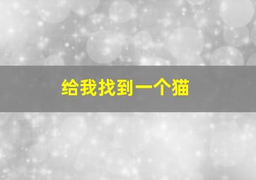 给我找到一个猫