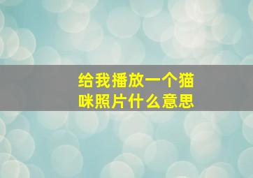 给我播放一个猫咪照片什么意思