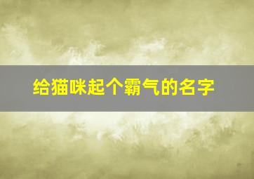 给猫咪起个霸气的名字