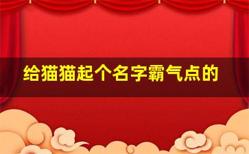 给猫猫起个名字霸气点的