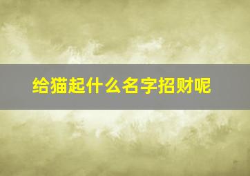 给猫起什么名字招财呢