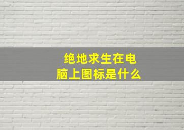 绝地求生在电脑上图标是什么