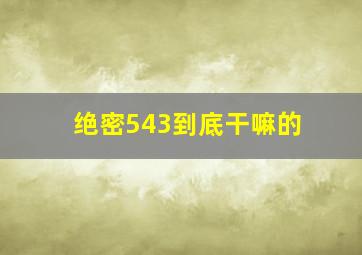 绝密543到底干嘛的