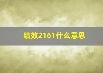 绩效2161什么意思