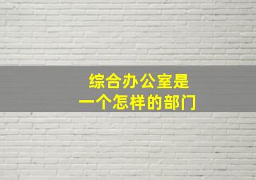 综合办公室是一个怎样的部门