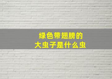 绿色带翅膀的大虫子是什么虫