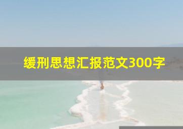 缓刑思想汇报范文300字