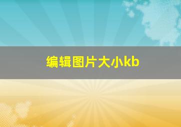 编辑图片大小kb