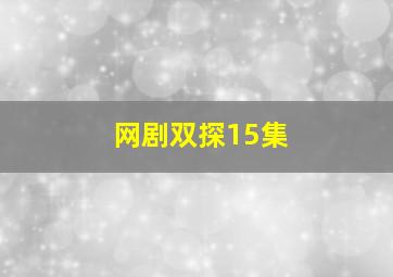 网剧双探15集