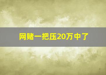 网赌一把压20万中了