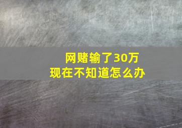 网赌输了30万现在不知道怎么办