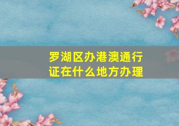 罗湖区办港澳通行证在什么地方办理