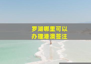 罗湖哪里可以办理港澳签注