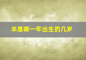 羊是哪一年出生的几岁