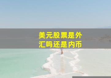 美元股票是外汇吗还是内币